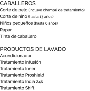 CABALLEROS Corte de pelo (incluye champú de tratamiento) Corte de niño (hasta 13 años) Niños pequeños (hasta 6 años) Rapar Tinte de caballero PRODUCTOS DE LAVADO Acondicionador Tratamiento infusión Tratamiento Inner Tratamiento Proshield Tratamiento India 24k Tratamiento Shift
